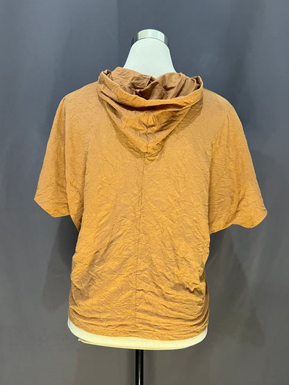 Generic Plain with Hoodie (Brown)